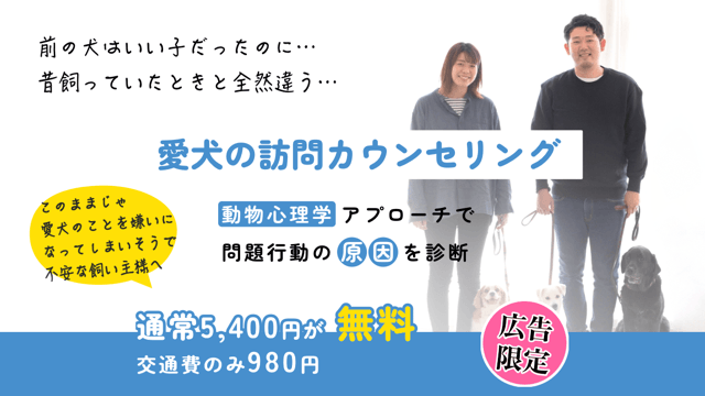 愛犬の訪問カウンセリング
