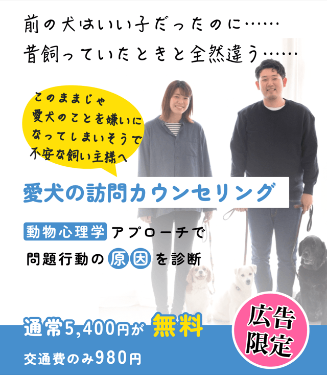 愛犬の訪問カウンセリング