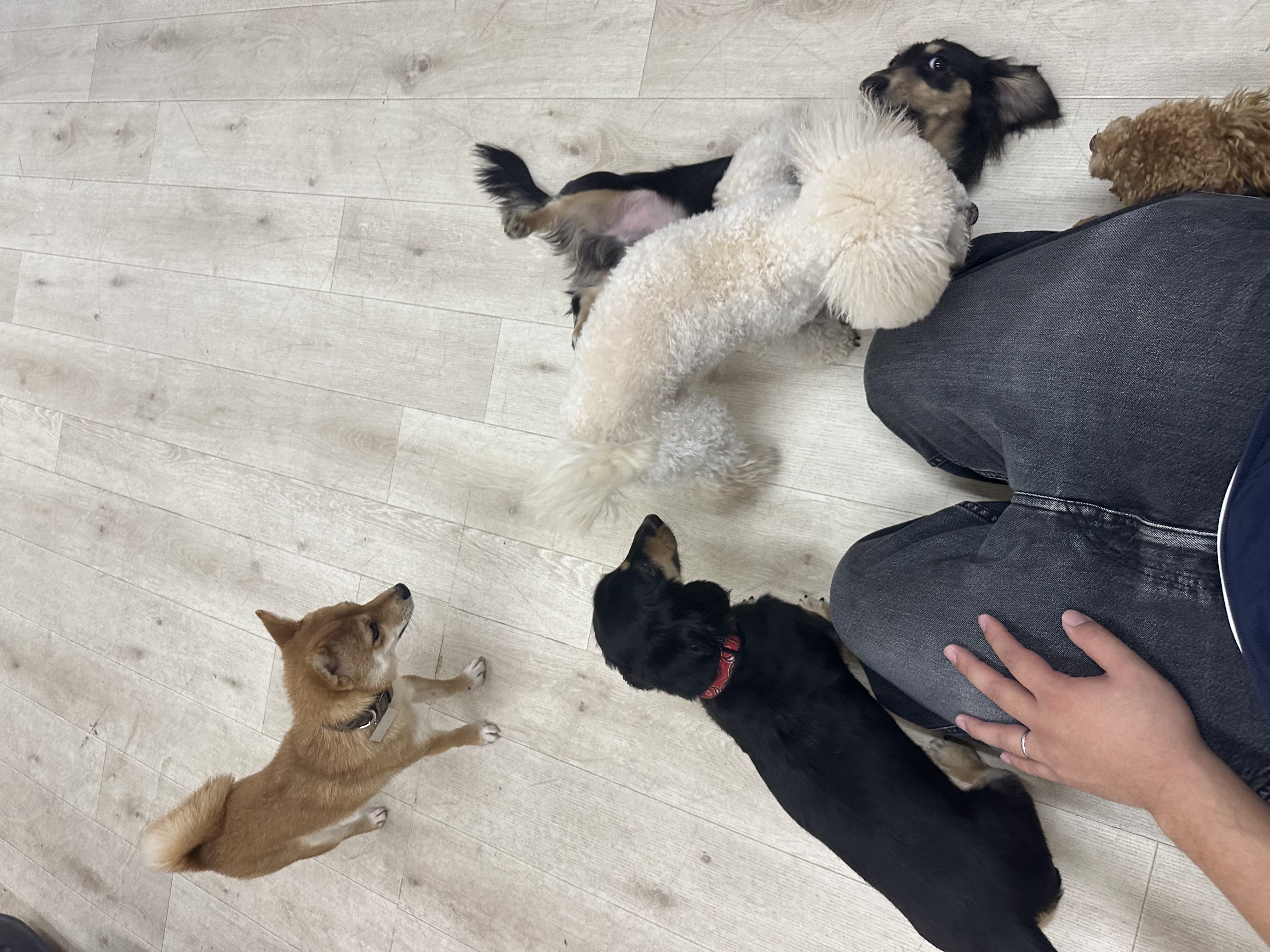 ストレスケアまで考えたホテル運営