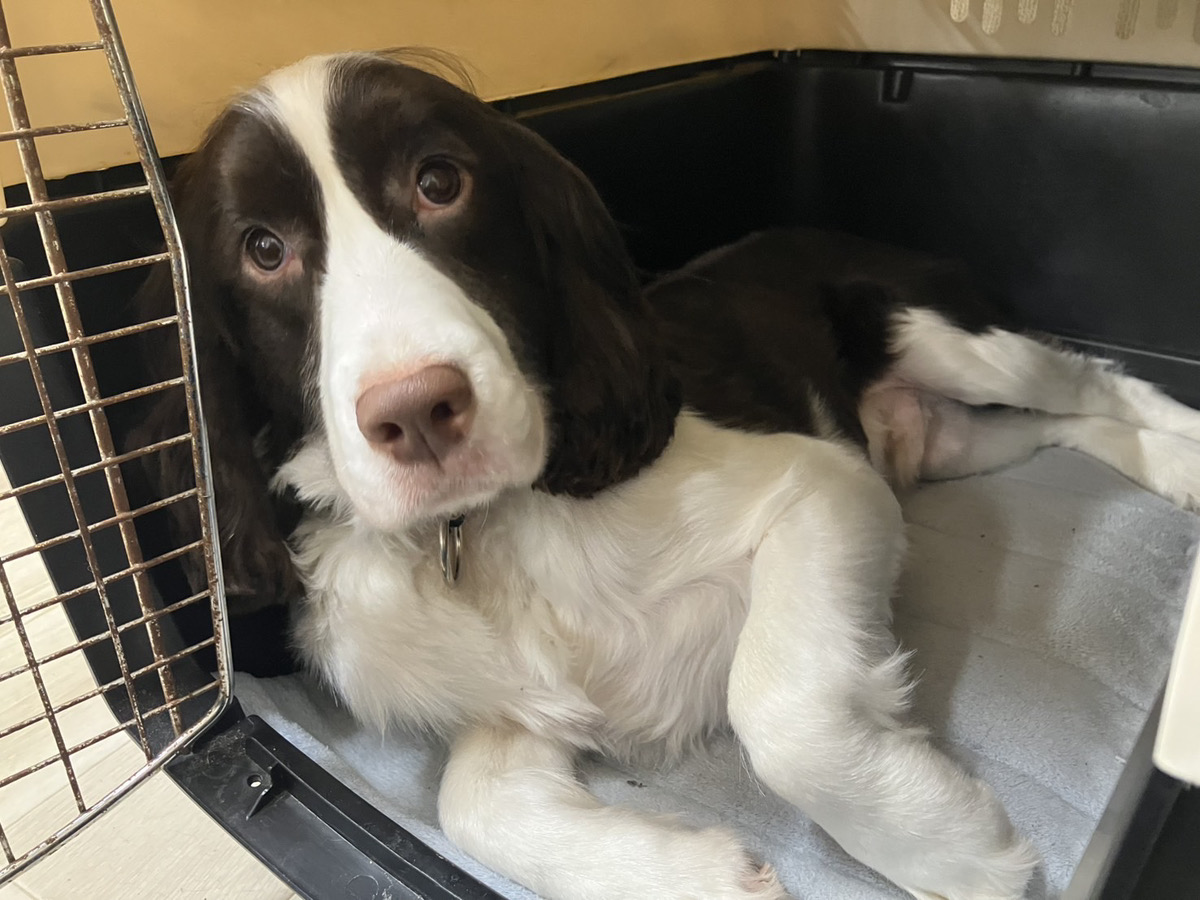 安心・安全のためのハウス活用