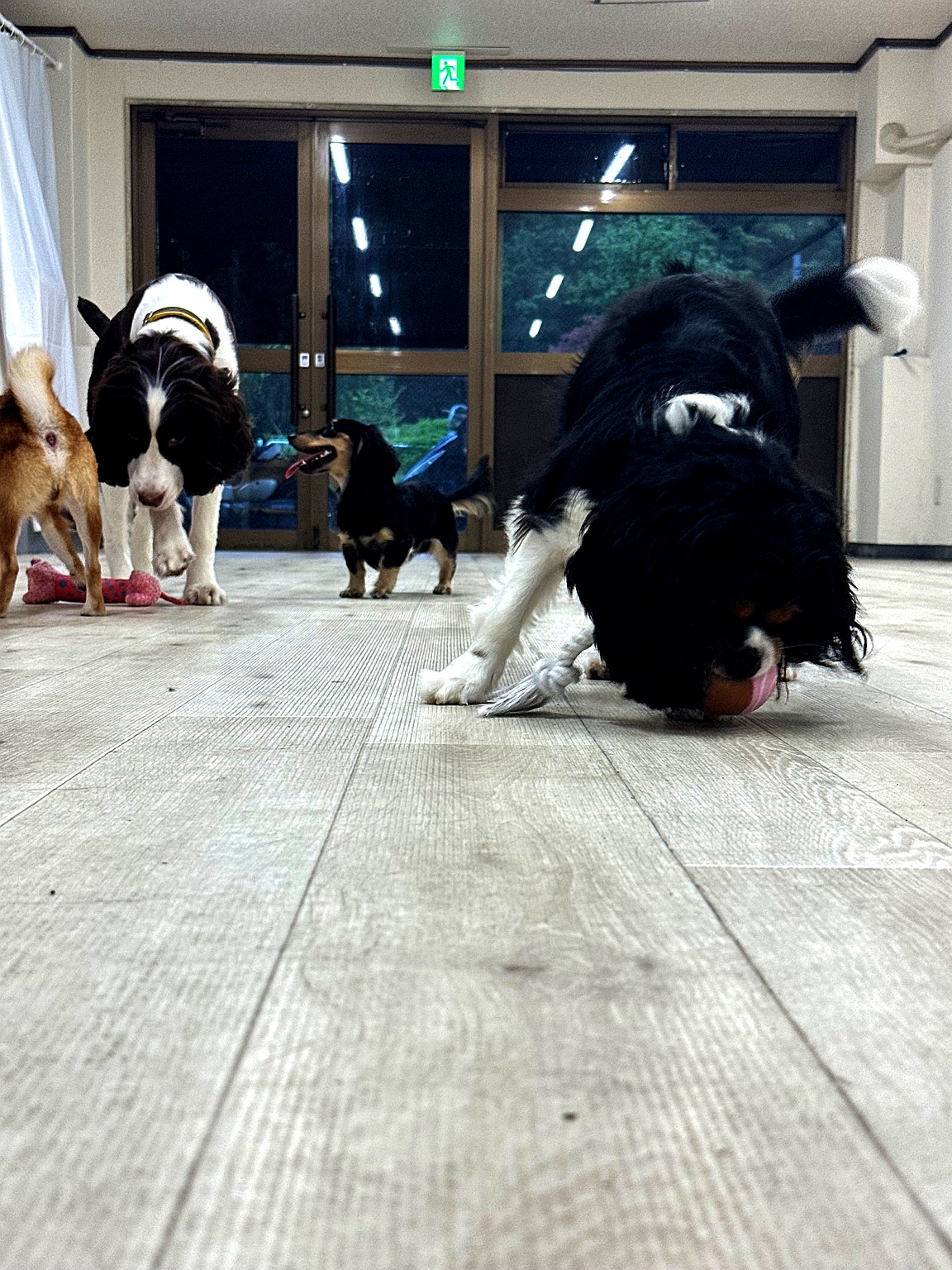 広い空間でのびのび運動＆交流